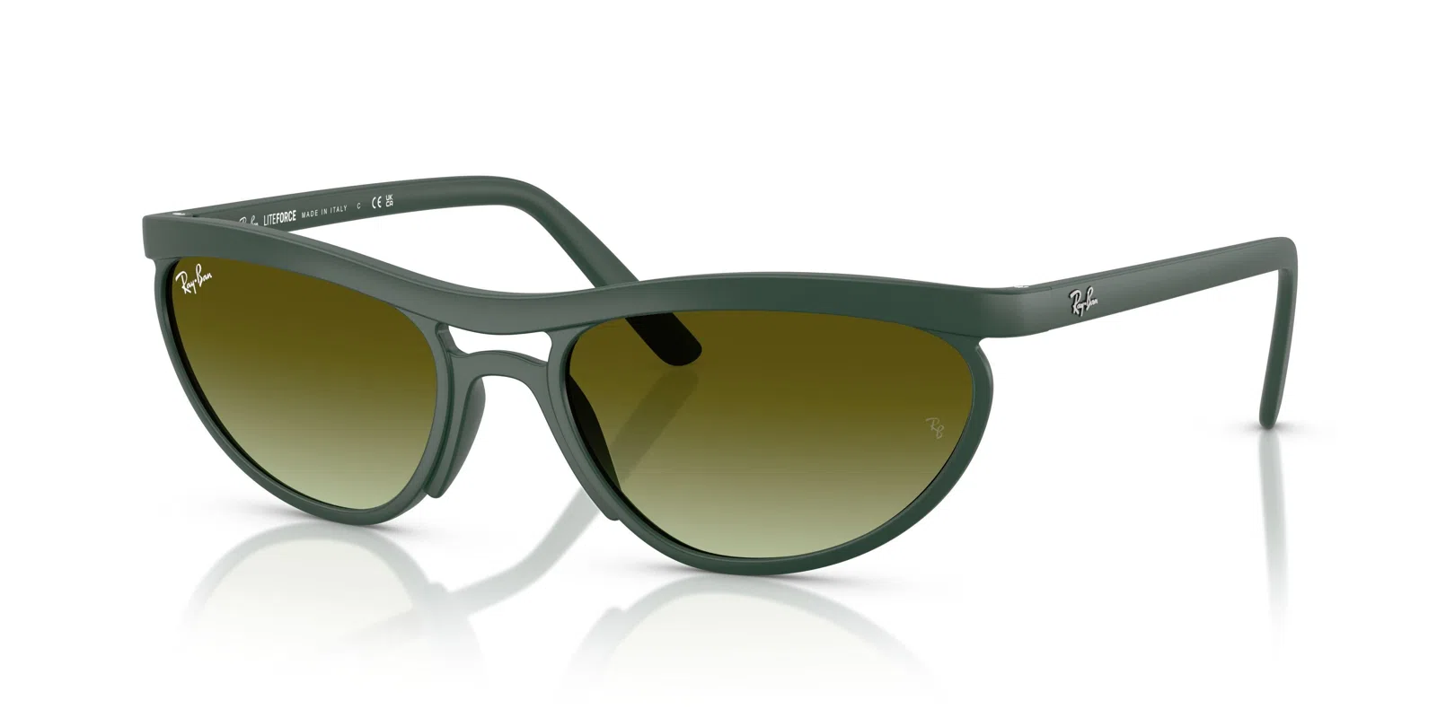 Ray-Ban 4453 Sunglasses - view 18